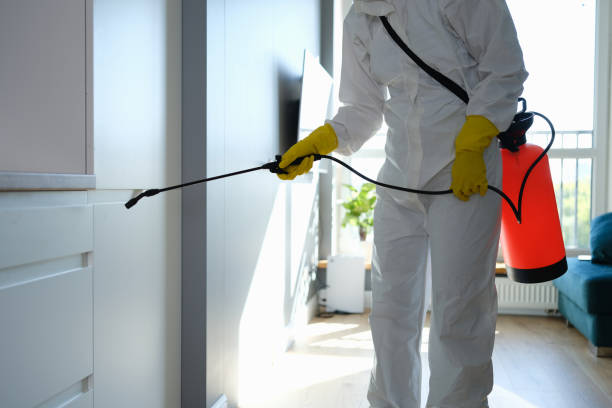 Best Water Damage Restoration  in Hoer, OK