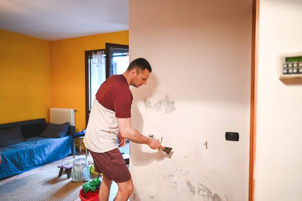 Best Mold Damage Repair  in Hoer, OK